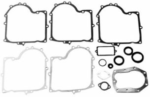 Tihendite komplekt Briggs & Stratton 10 – 12,5 hj 490525, 494241