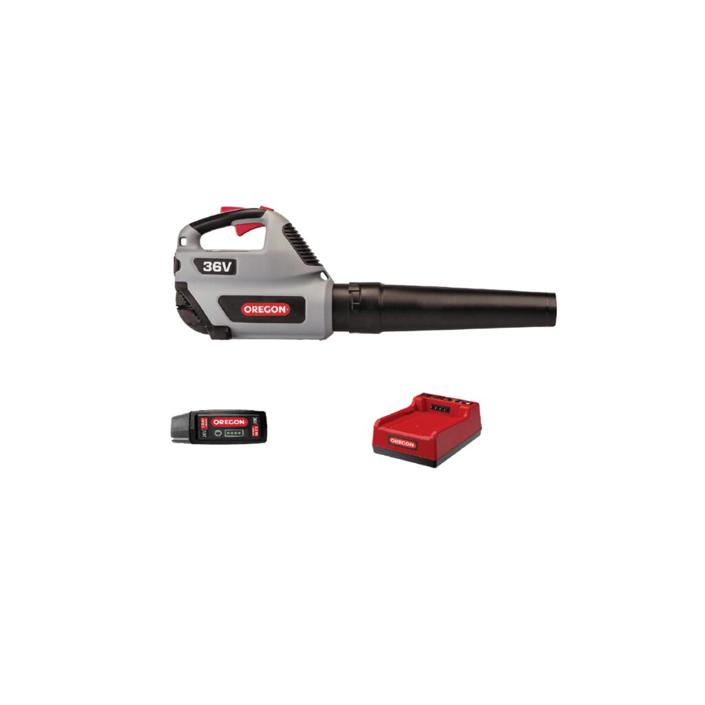 Leaf blower BL300 Oregon with 6.0Ah battery and charger