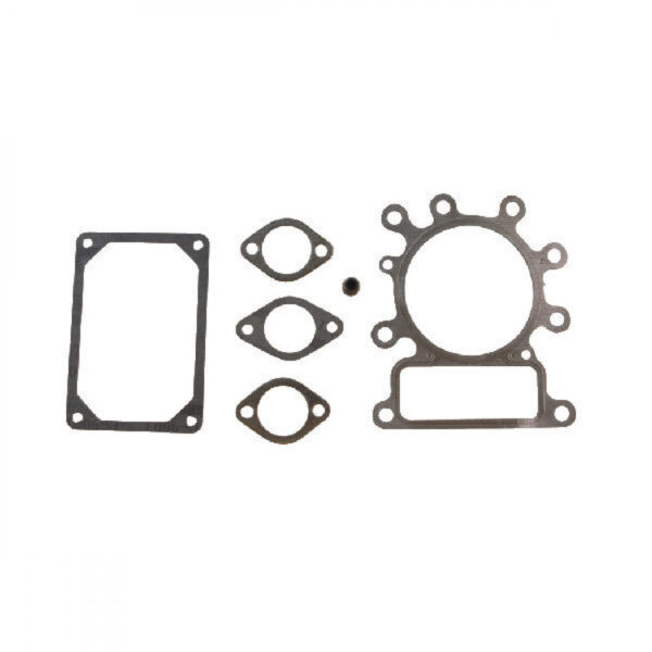 Tihendite komplekt Briggs & Stratton 15,5 hj Intek 495992