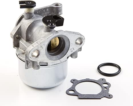 Carburetor & Stratton Quantum 794304, 799866, 796707, 790845, 799871