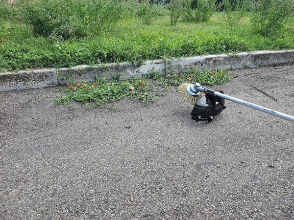 Terashari / taldrikhari võslõikajale SITBrush 170 mm LiZ , eraldiseisvad terastraadid - Image 2