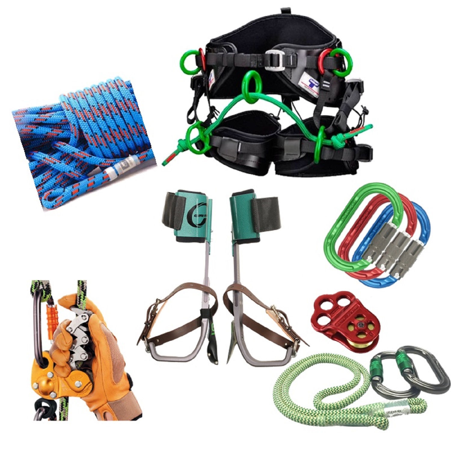 Arborist equipment and tools