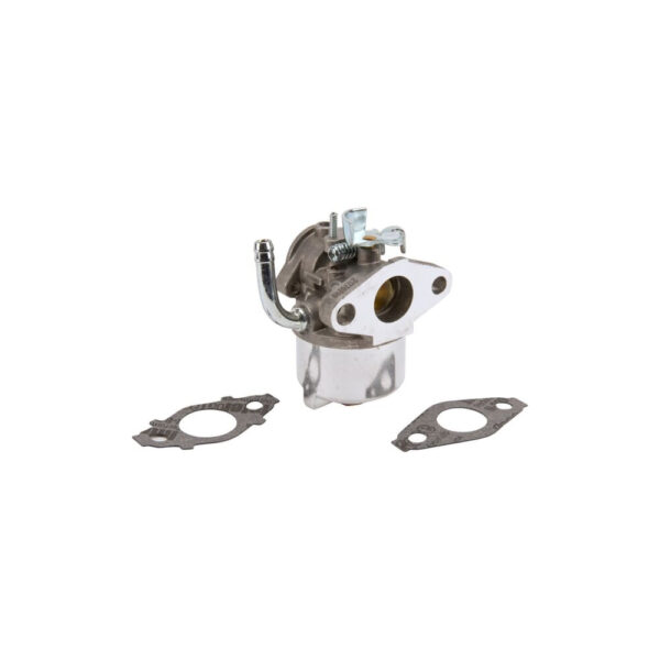 Karburaator lumefreesidele Briggs & Stratton 594015, 794587, 798917, 795840