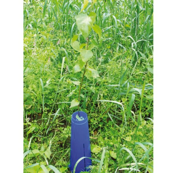 Tüvekaitse / taimekaitse 28 cm, sinine plastik - Image 2