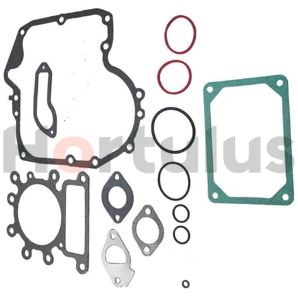Tihendite komplekt Briggs & Stratton
